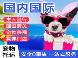 海拉尔空运国际宠物托运 【国